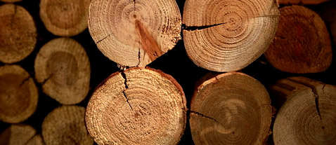 咸阳速惠科技制造有限公司(AI智能站)