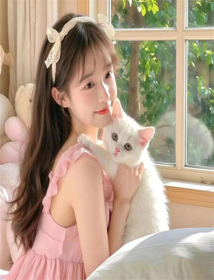 花党：朝鲜婚姻介绍所观影指南：如何理解主题思想与哲学内涵 拓展思维视野